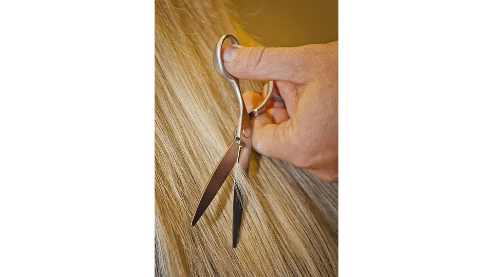 13en haar