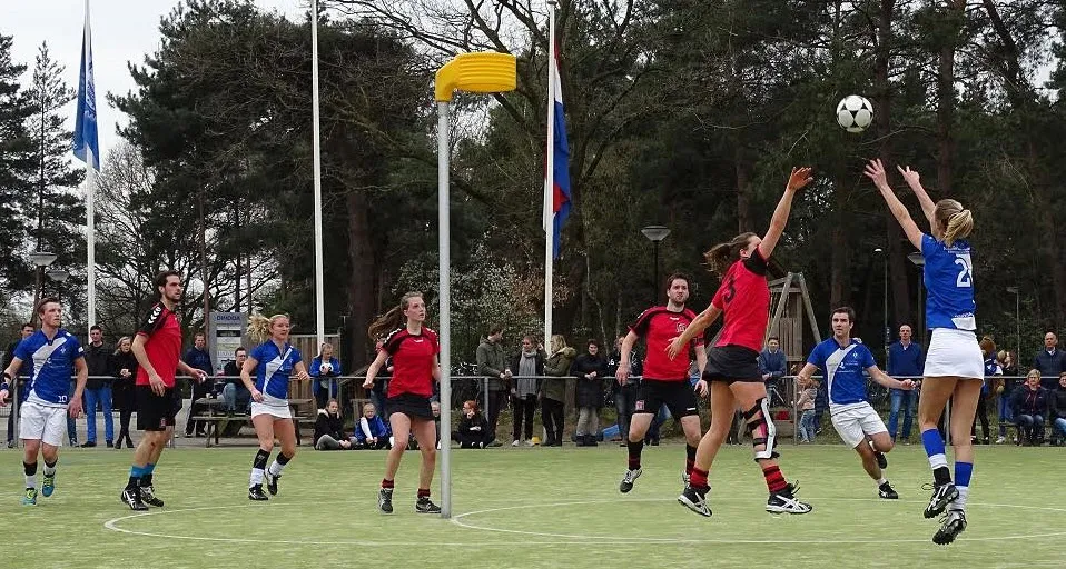 14en dindoamidlandia