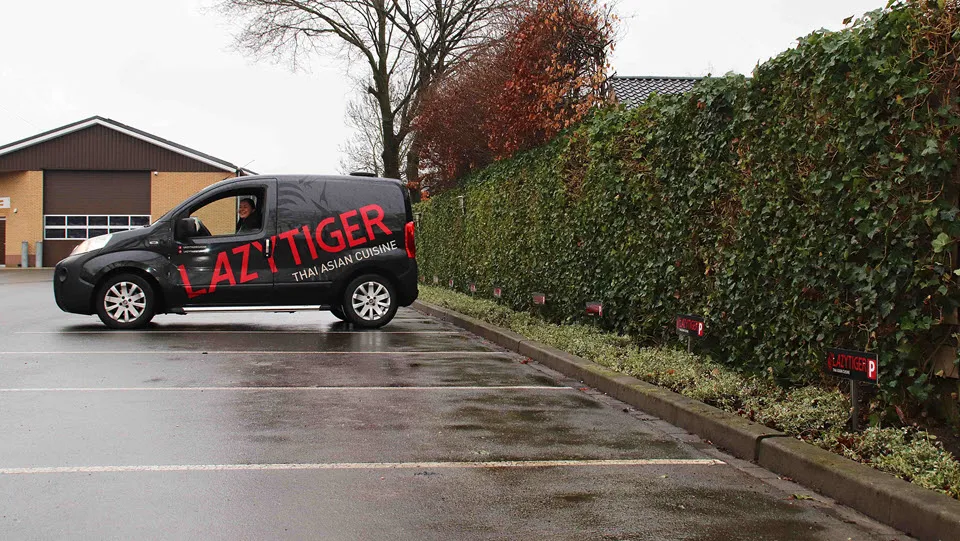 14en lazytigerparkeerplaatsen