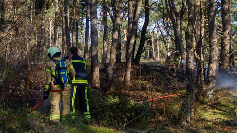 15en heidebrand