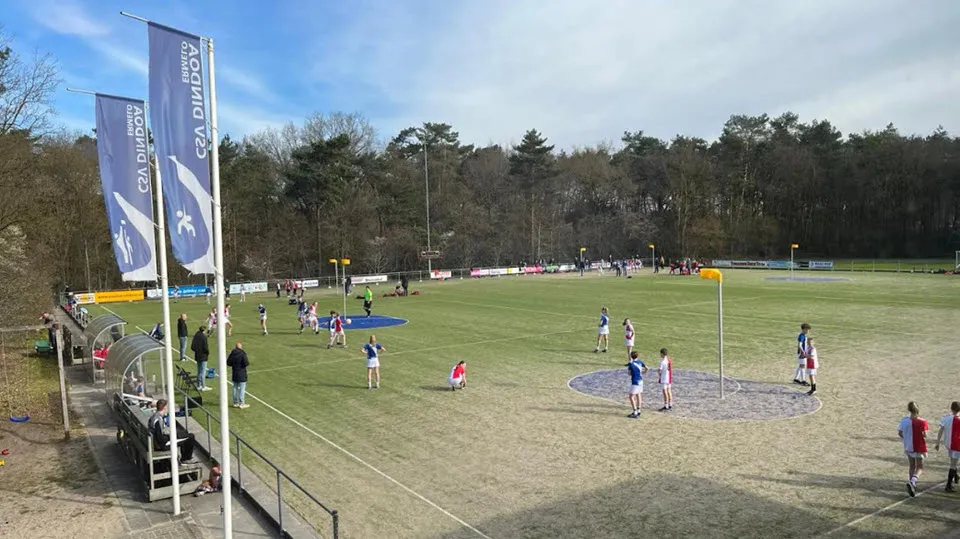 16en dindoakunstgras