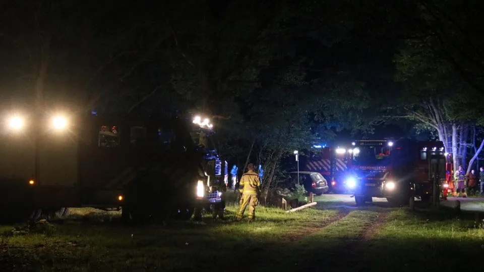 19en heidebrand