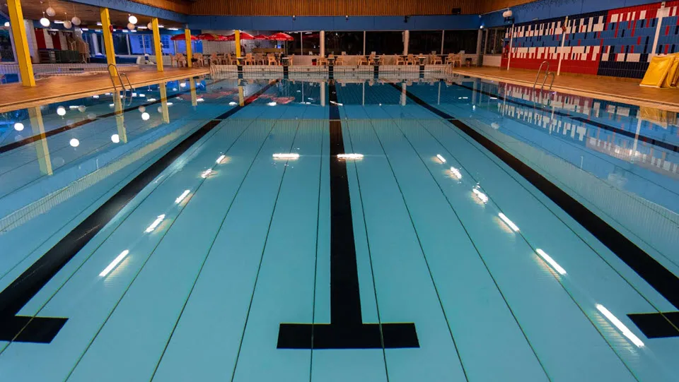 20en zwembad calluna