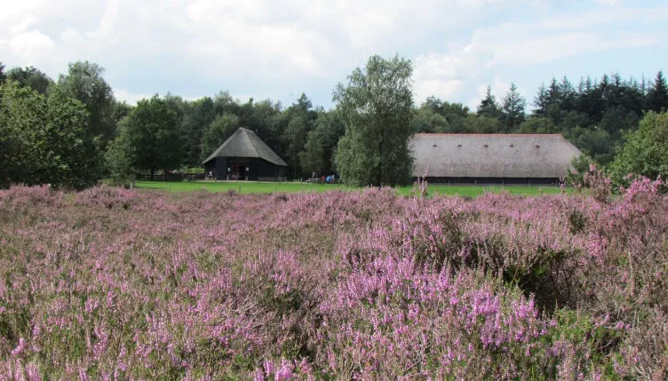 24en schaapskooi