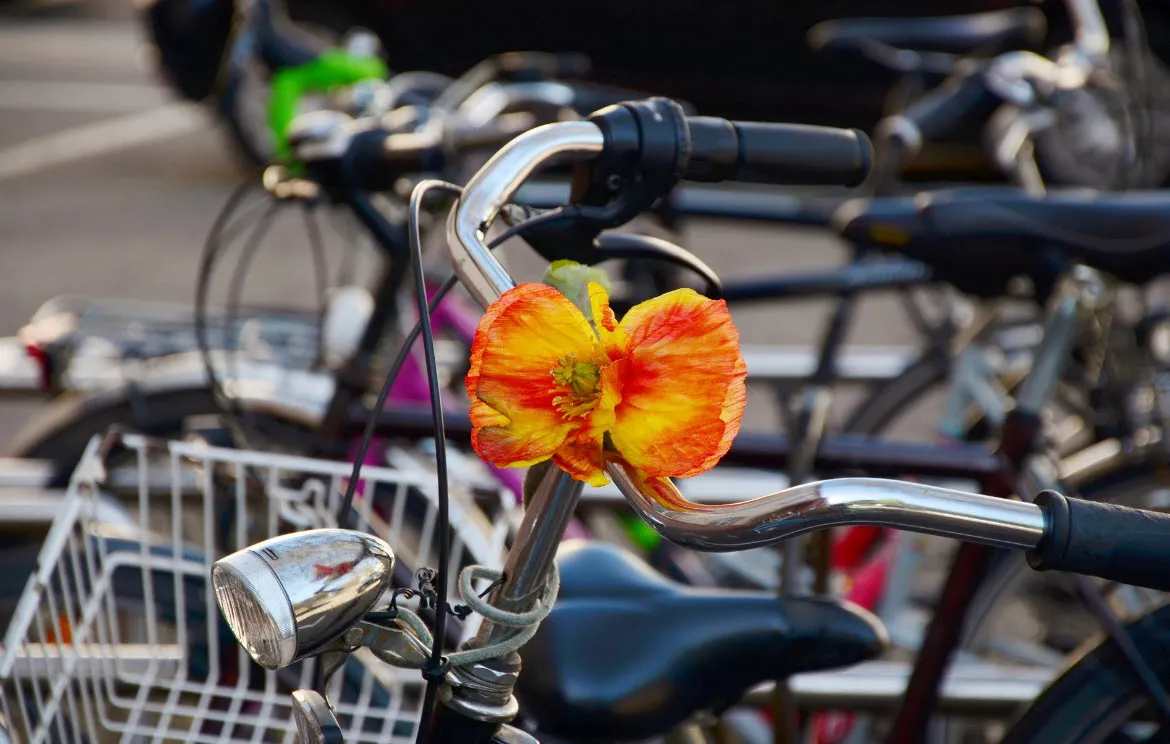 25en fietsparkeerplaats