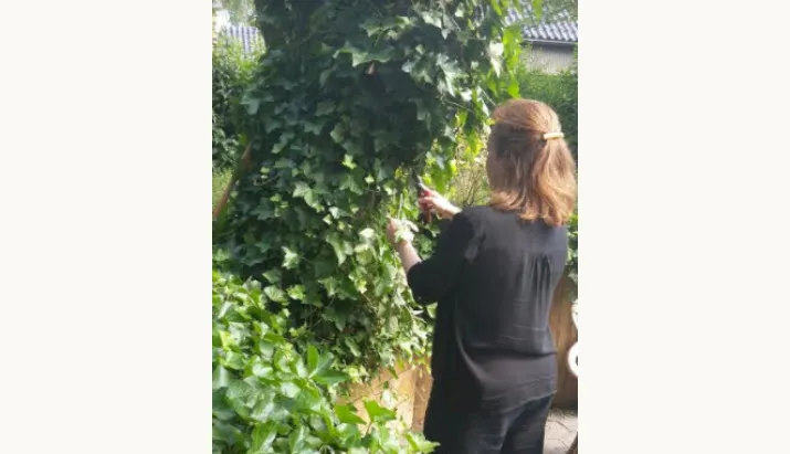 25en tuinvrijwilligers