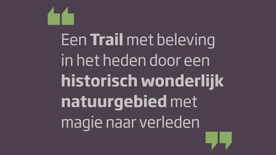 28en veluwsetrailwalk