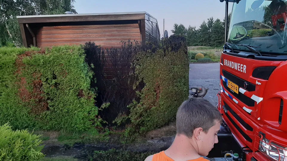 30en brandconifeer