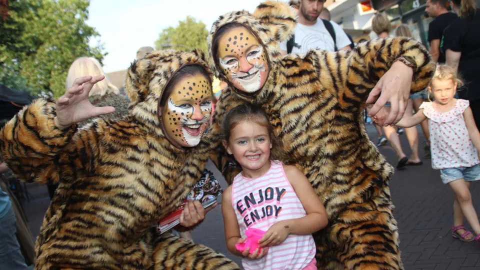 31en lazytiger