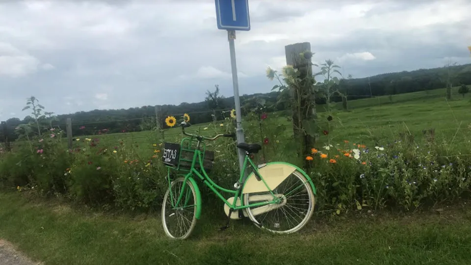 37en rondjetelgt