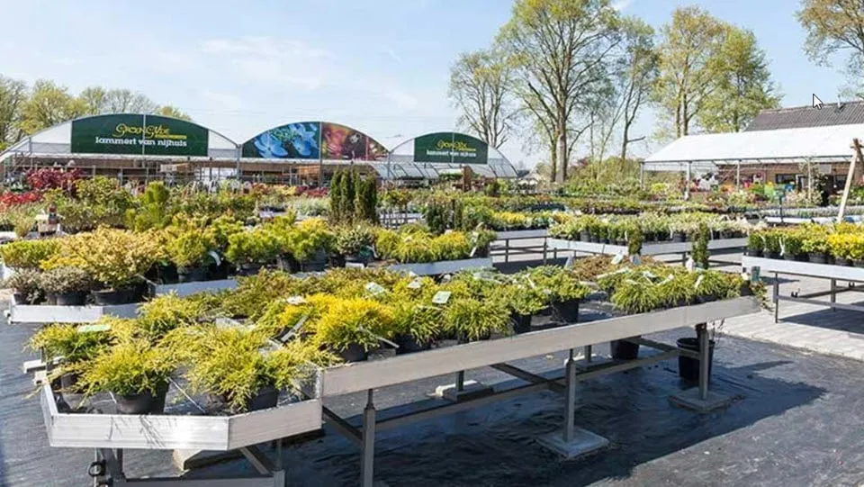 39en lammert van nijhuis