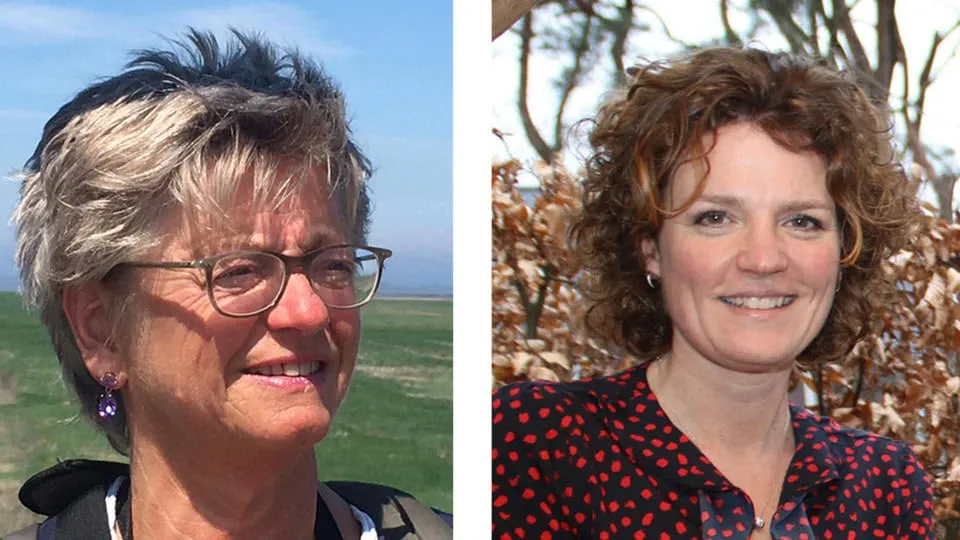 40en schrijfworkshop