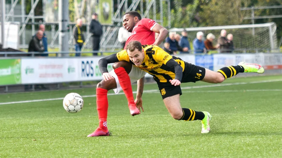 41en dvs1