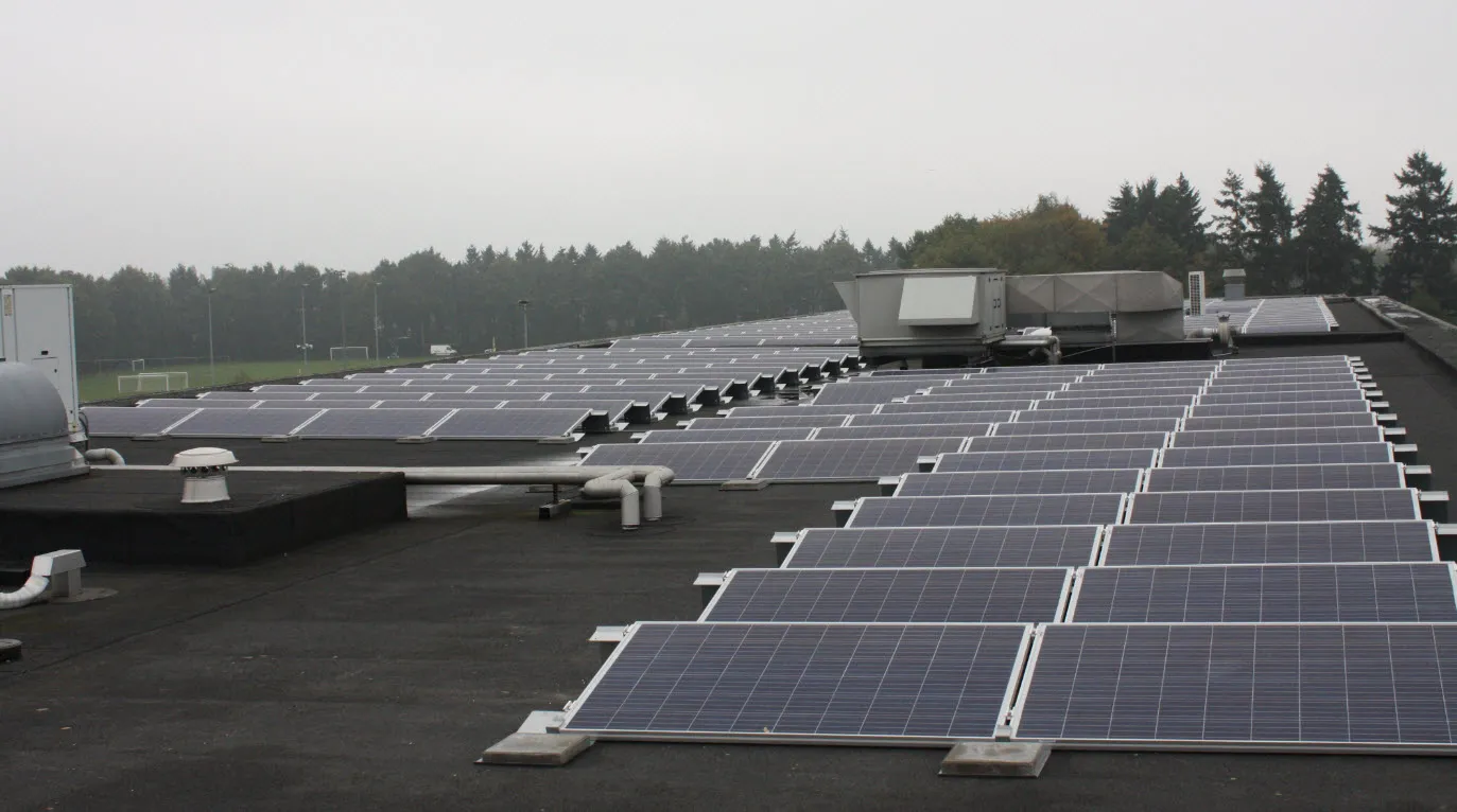 44en zonnepanelen