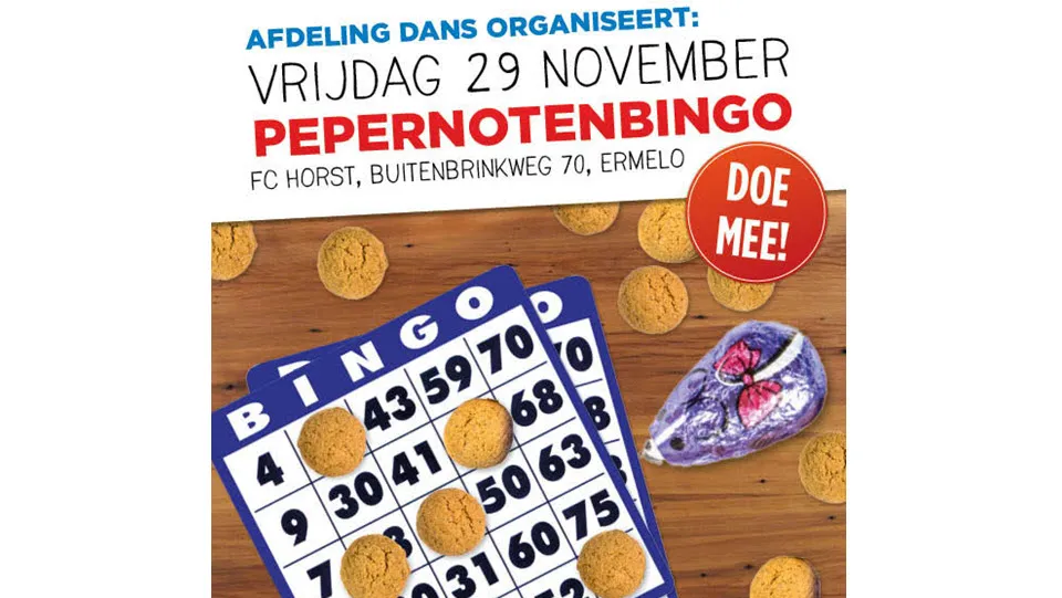 47en pietenbingo