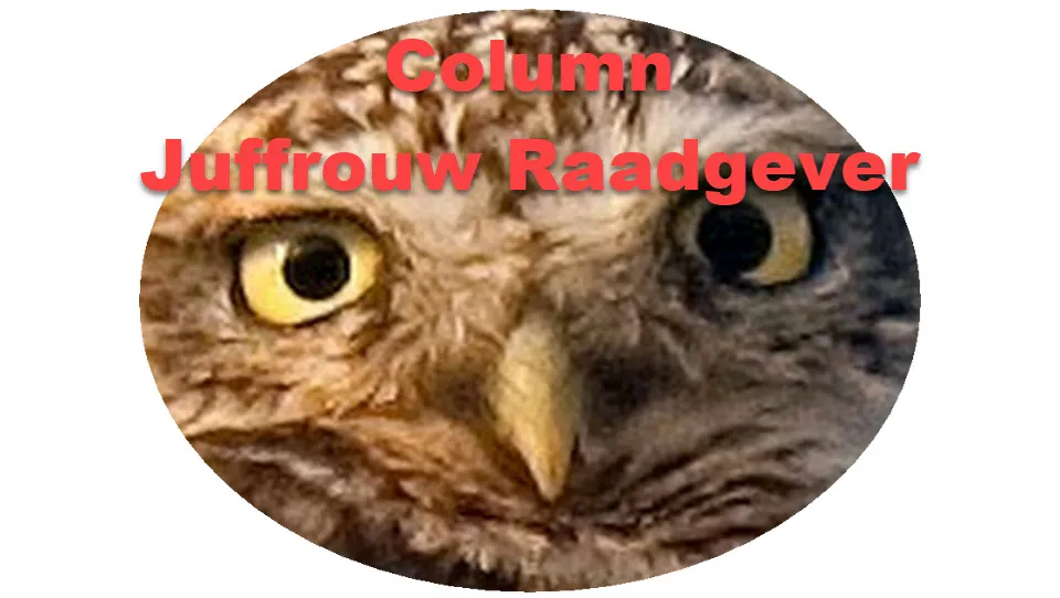 48en juffrouwraadgever