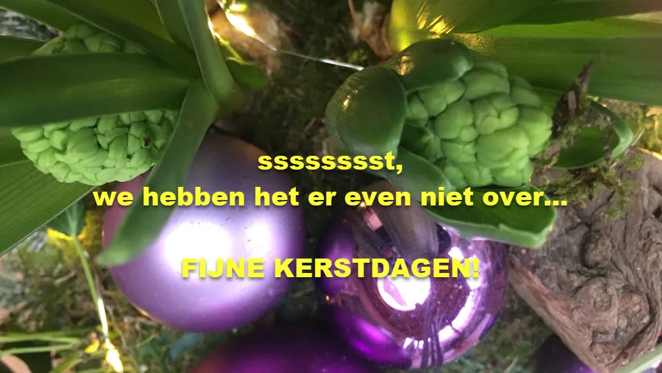 51en kerstwens