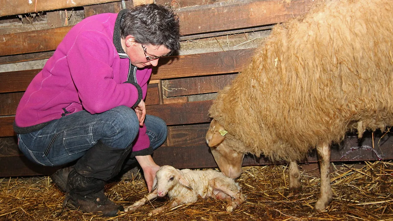 aa6bntoe8z4pbbffbi4tp8e44 04en kraamkamer