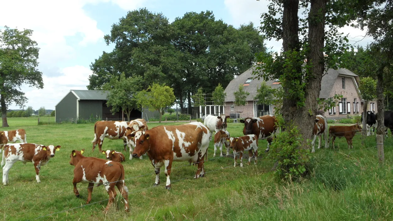 ahuscgu8mmox64hvjfmrdbcwu 37en h en t