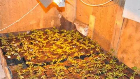 apyz7e1xfxmbkb3qrdhstbl1s 50en hennep