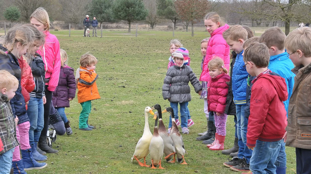 b4u2cfcuc3yizakglpd8898xx 13en lam 8