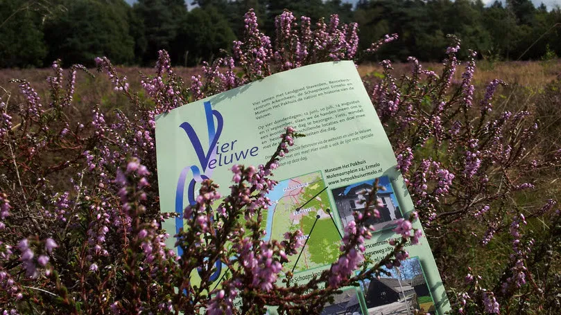 bxgmt6p6qzknzi2y027iptdff 32en vier veluwe