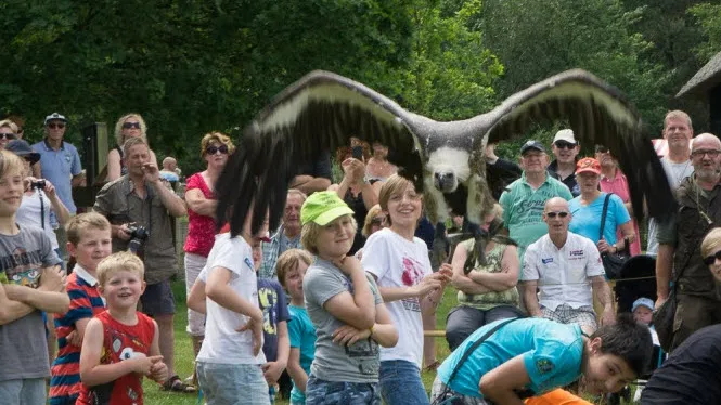 ckoq0b1dk95wynf71dek0cuvx 24en jan de roo