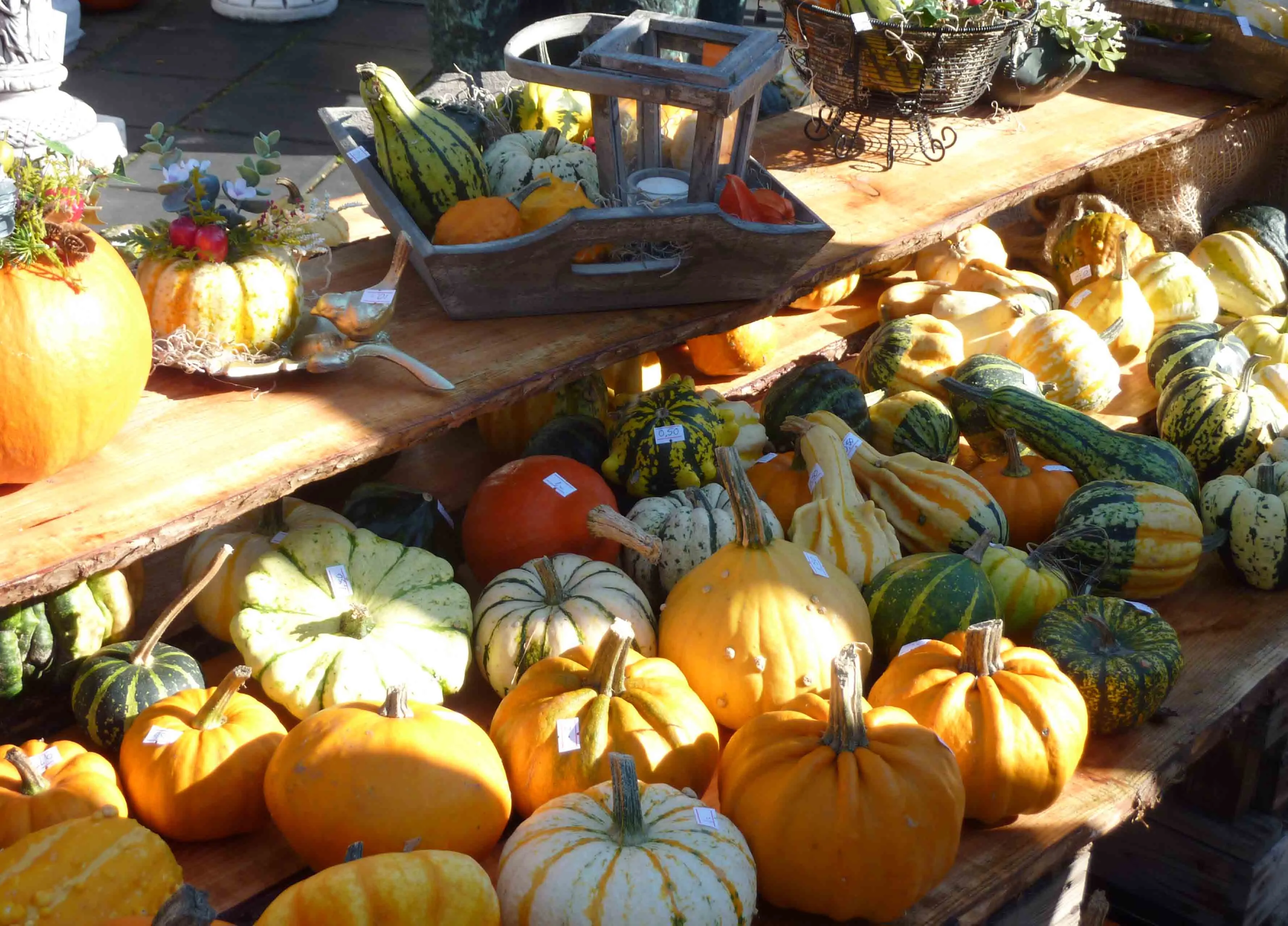 cm0hxy0f2nak2b8ix25fjeds0 herfstmarkt 40 en