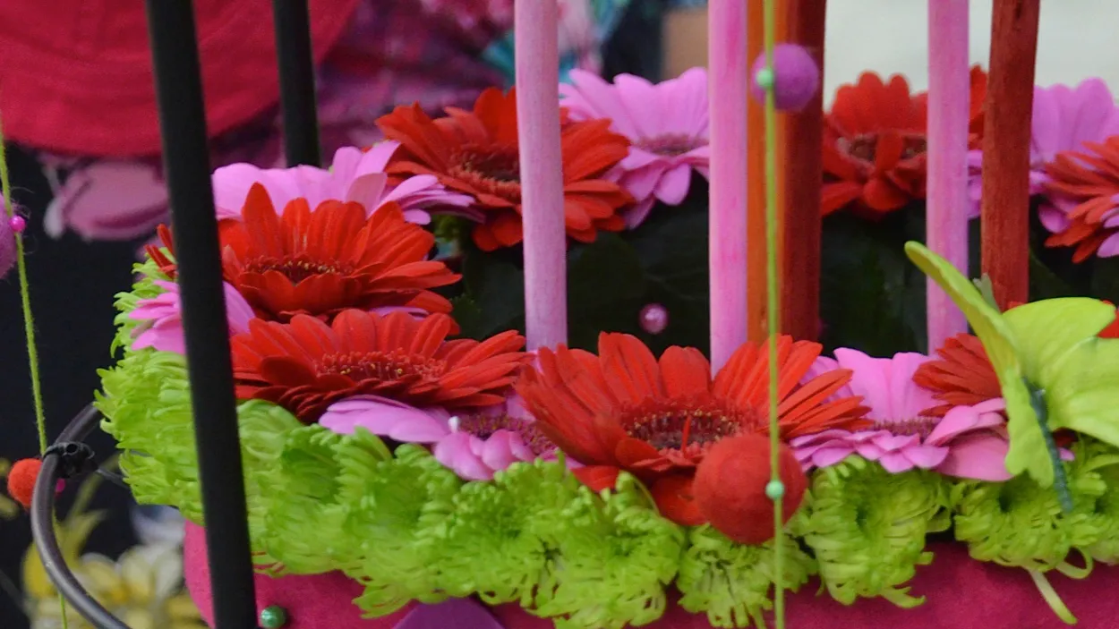 dbzlu2xyvi0aitg9qa51ddcry 42en groeibloei ermelo putten