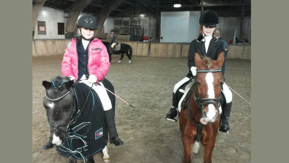 dzi25o29z18jbegpkquyzhdem 12en veluws ros