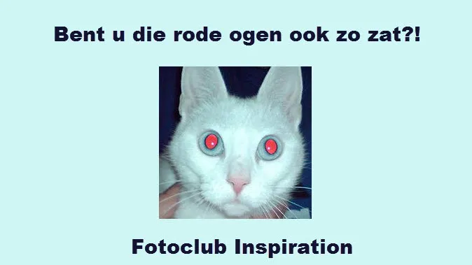 ekknfcjsb42nwnkmrfoqpnyx7 38en fotoclub