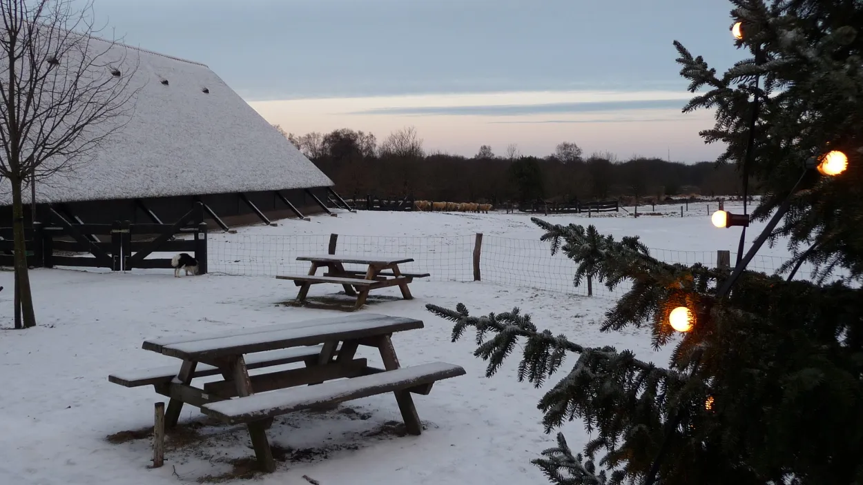 eny0mxs3cdqxrd8ptrmcn17ei 52en kerstsamenzang