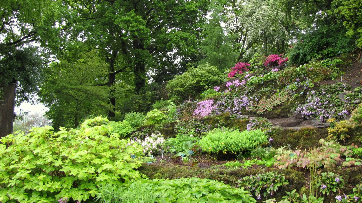 favy0pi8as5v02cj7bolxfn67 07en g en b