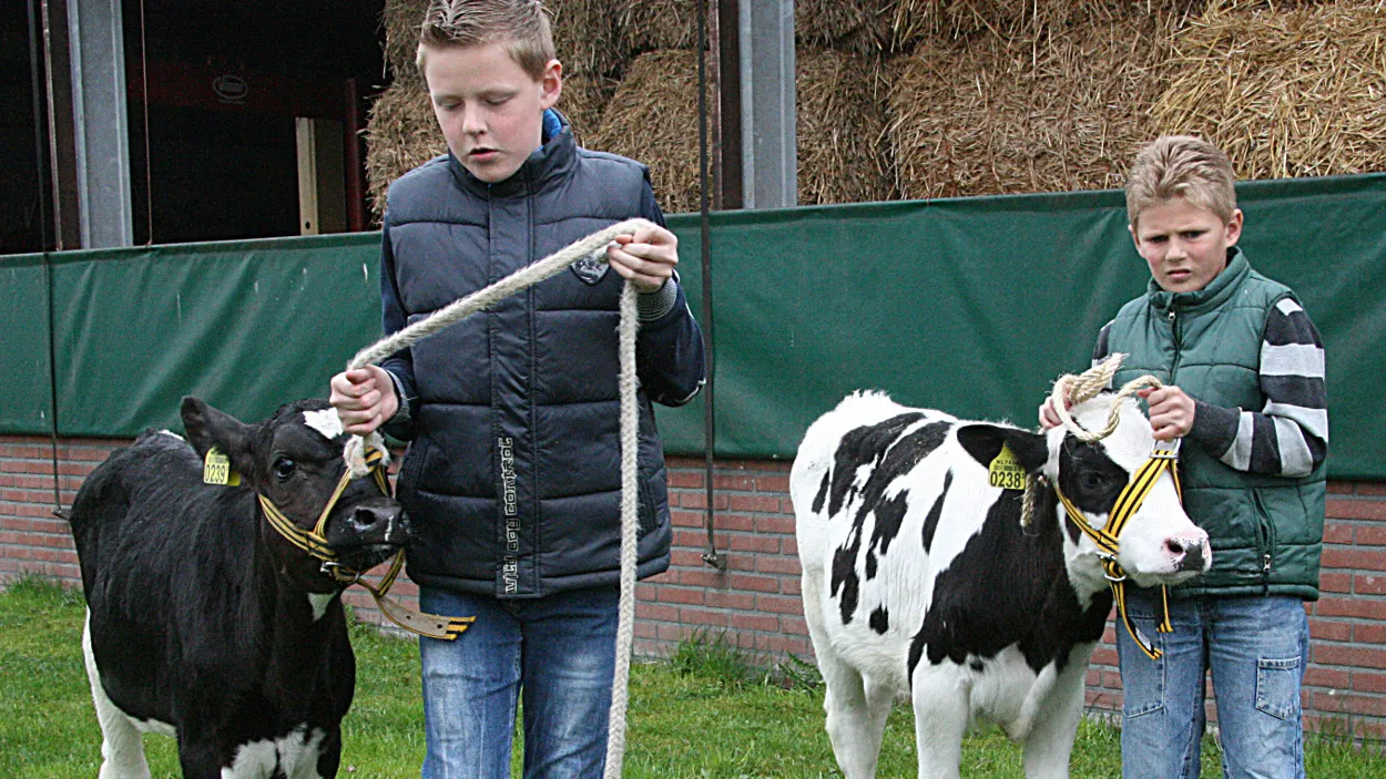 i1dahvktt2oitrgzmlunlwakq 12en miss koe