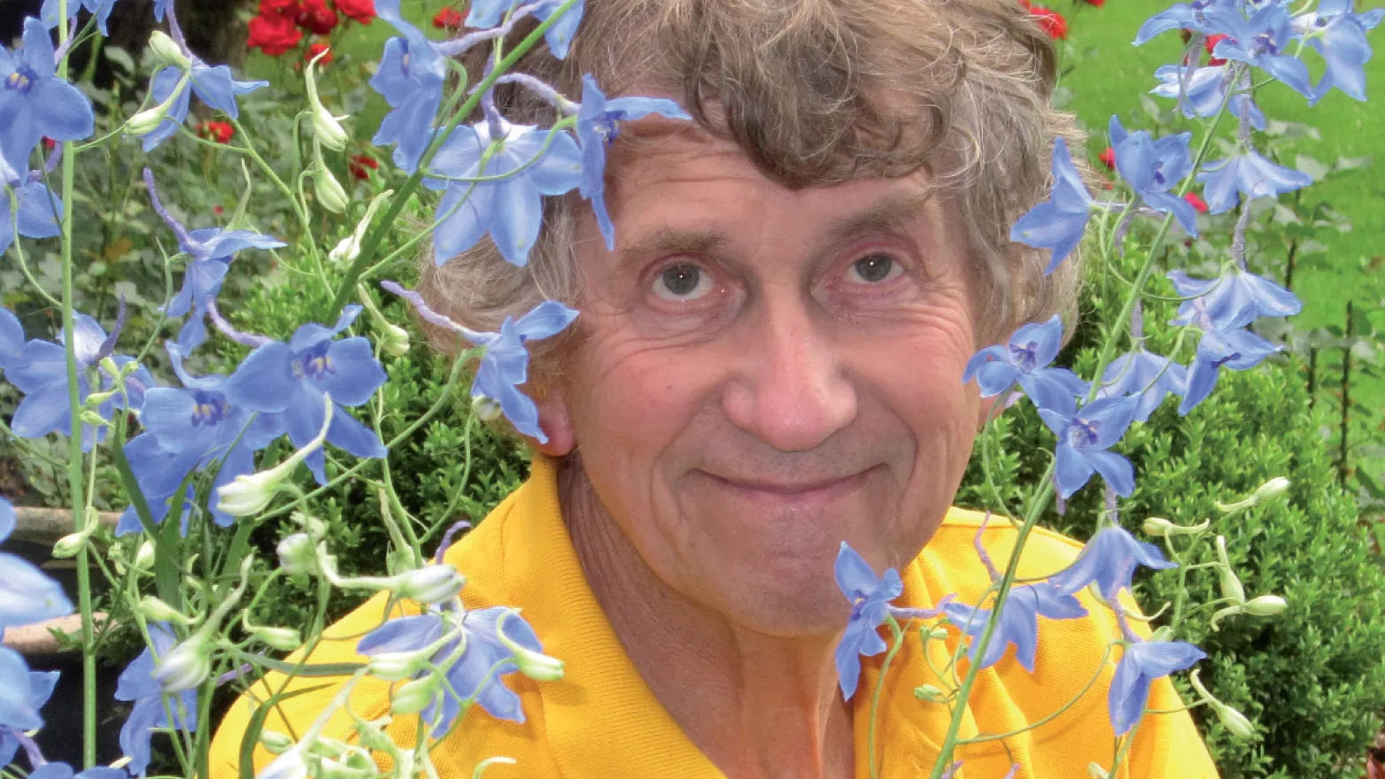 ipsooo83ddhbgigzilqigokd1 seth gaaikema en 40