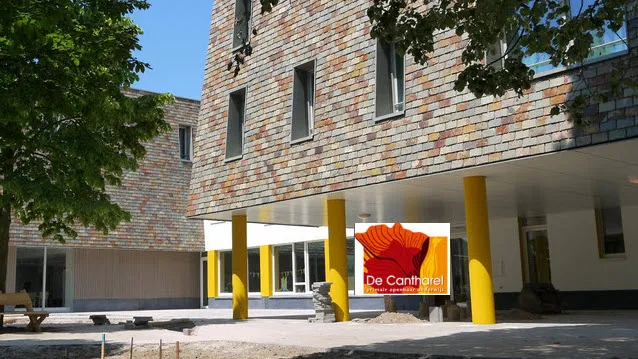 iz5hauyjhmsbg5h8etgsne5u2 10en cantharel