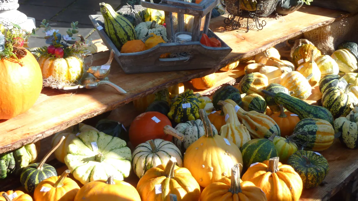 j25b6y3od5gcwouok5wzkn7ln 38en herfstmarkt