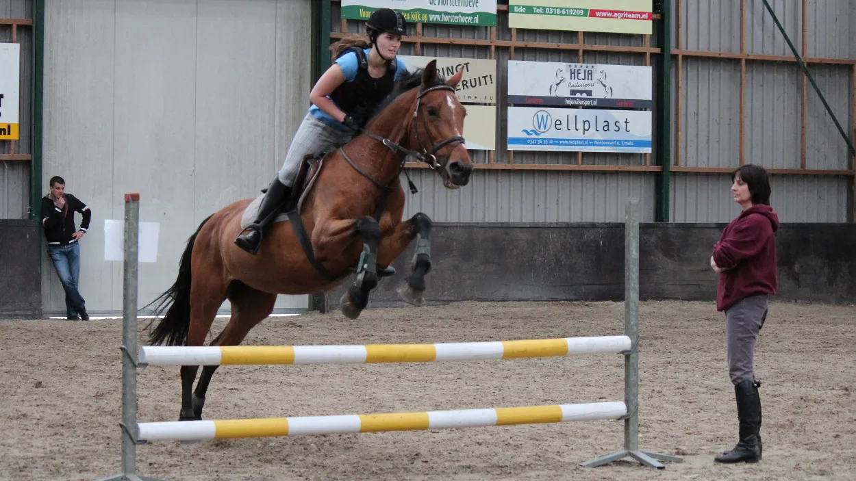 j29hry48np70g22415w53zyvj 37en ruitersportcentrum