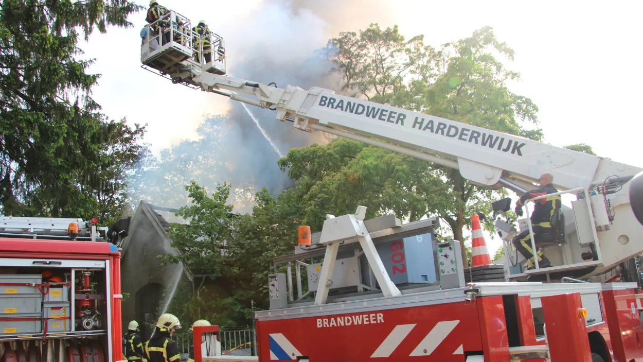 jjj84wgi013vm6y56u8d0r9t5 21en brand 1