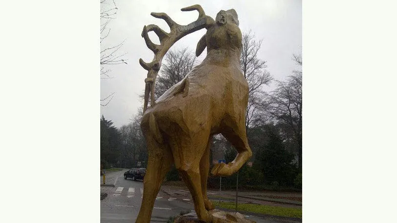 kpahjg2e7jsgnxushfkduriby 51en hert