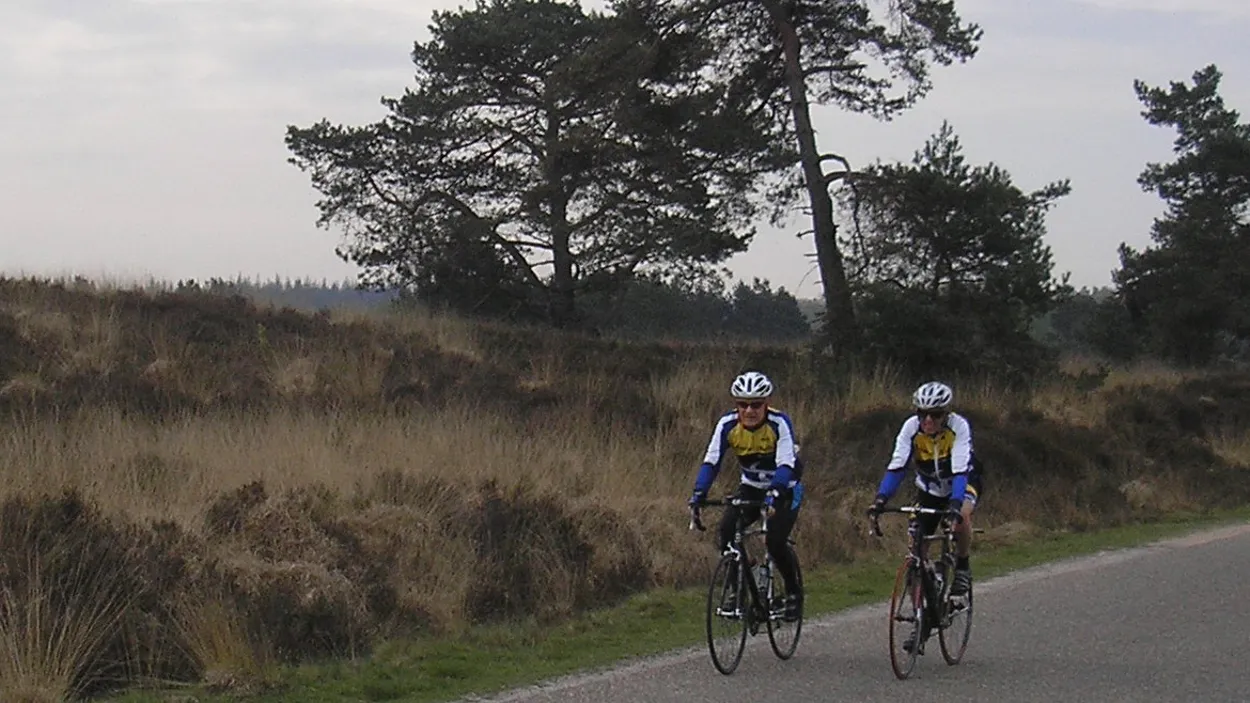 kq2x6rd6zw0ywq53kdicsdg2r 35en vwv