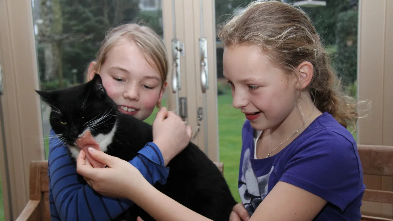 ktclp91u5eyqyzdg8bo7nylut 04en dierenleed