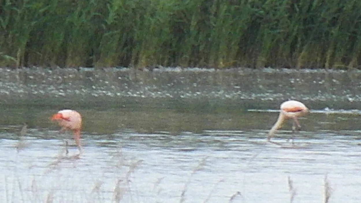 lagtq45q9zmfu9jbje0wl741s 21en fl 1