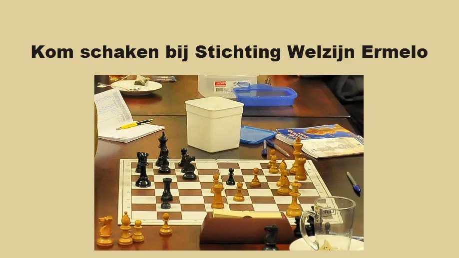 logo schaken st welzijn