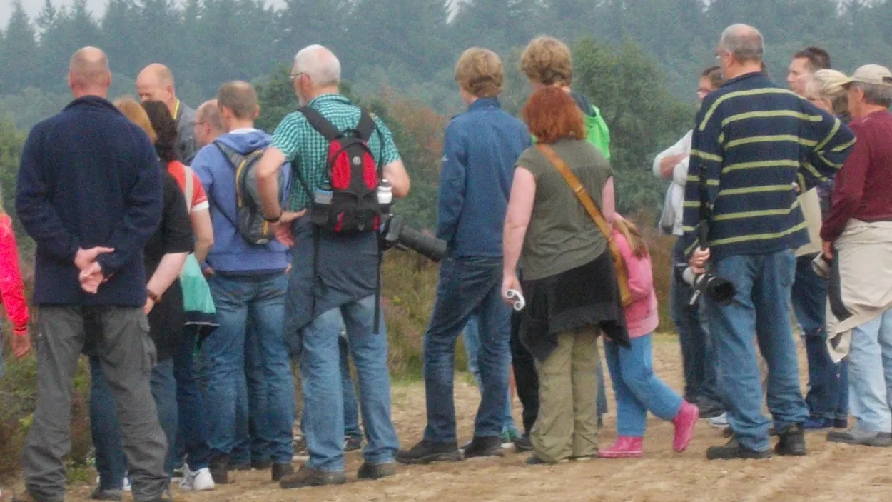 lvcvsj0lmgpasszjvfkiww7q0 16en paaswandeling