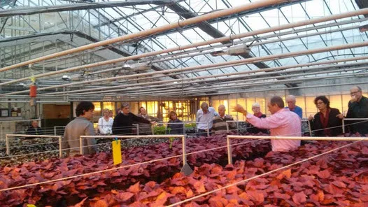 n2bbbfx41tvgsjbecwm5p3dvt 47en vvd bezoek