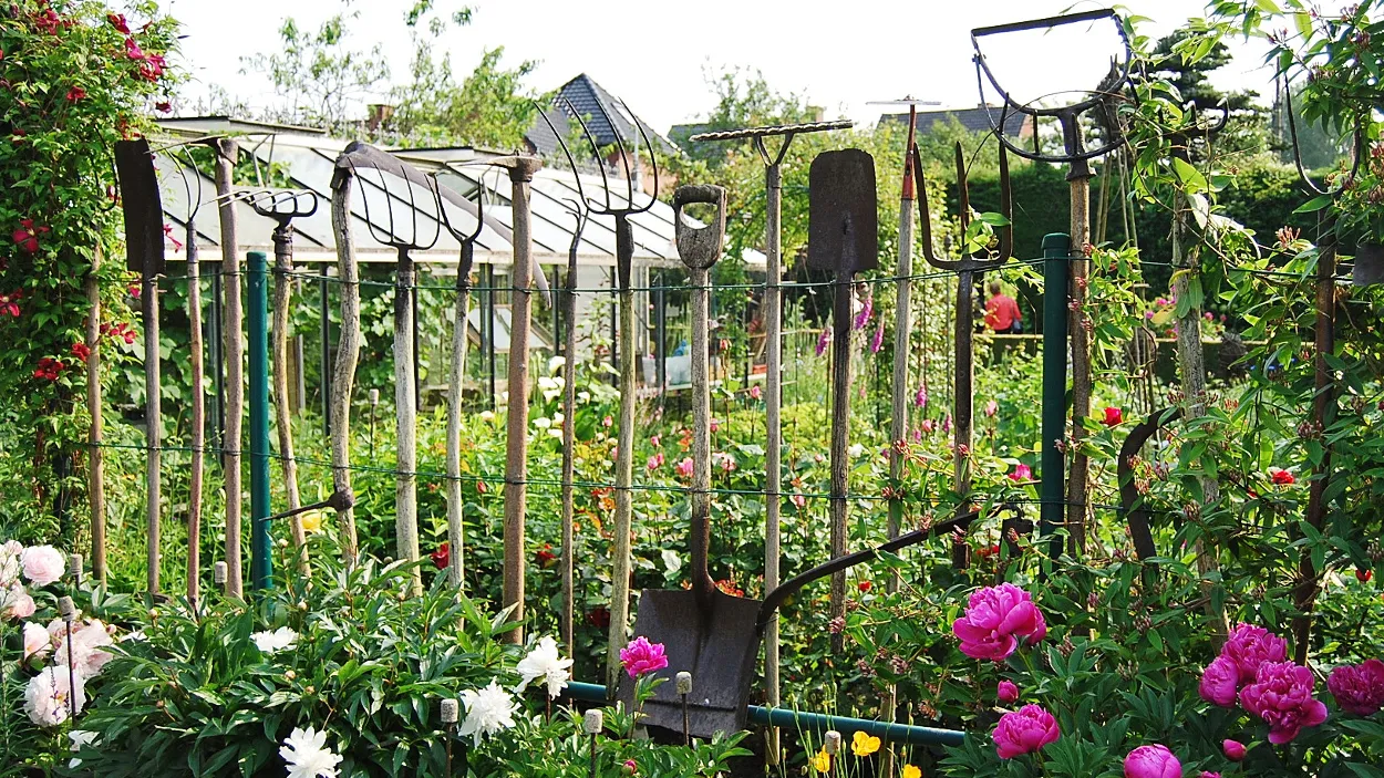 nrrb008yxt8y22f5ain111ciy 02 en groeibloei