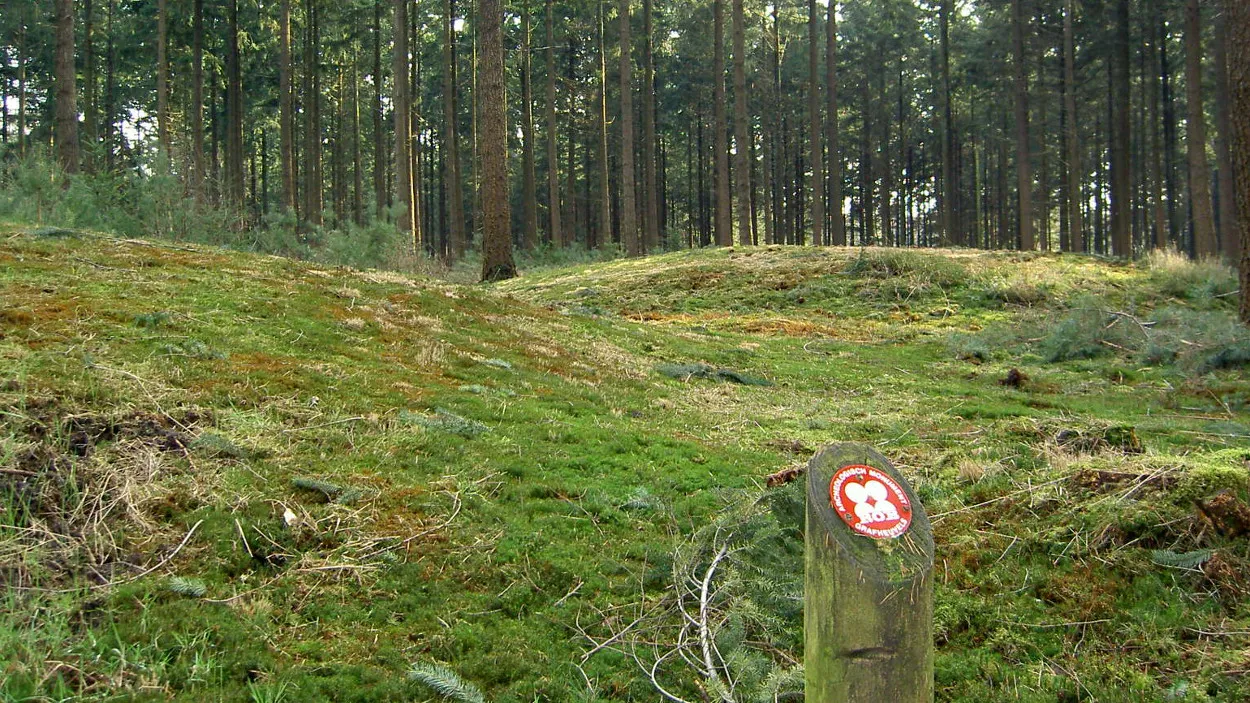 ozganc4o0irv8i5dsyessd44e 41en grafheuvels