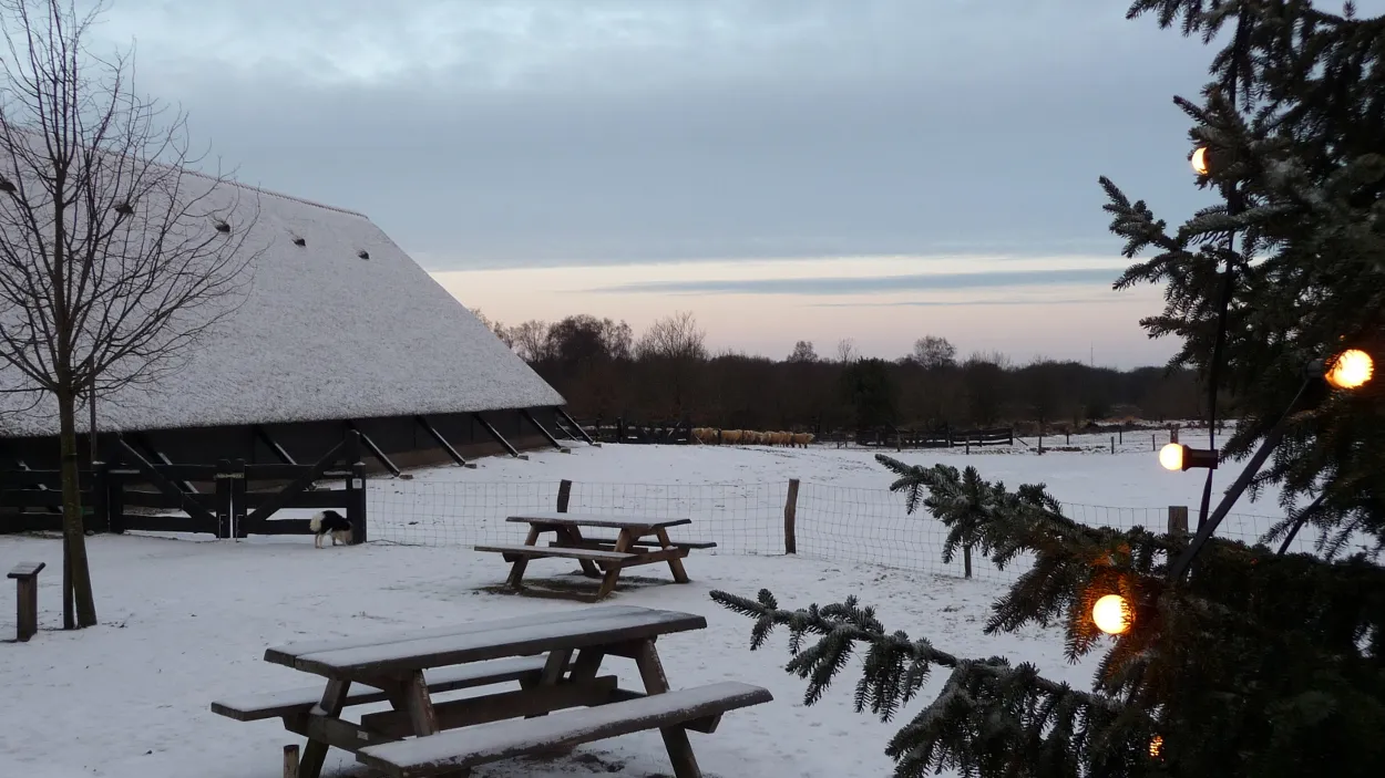 pevot0mkk0rp45gtr3jcwat57 49en kerstsinginn