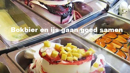 q0n1ru6c0cazm85ie126krao7 41en bokbierijs